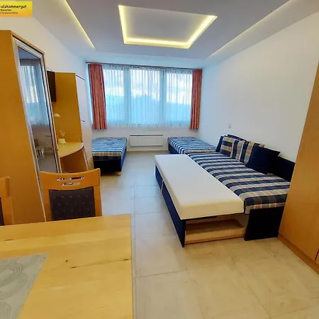 Apartment Olivia By Fis - Fun In Styria Apartamento *